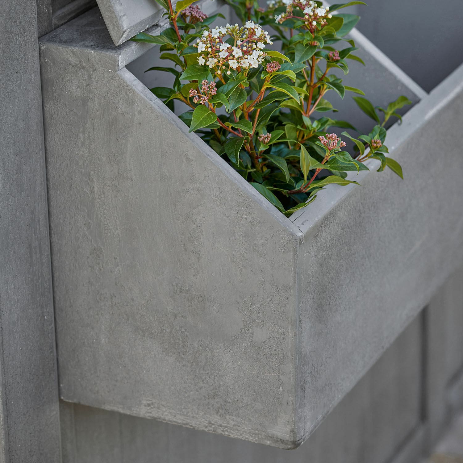 Maisonnette de jardin Auboranges