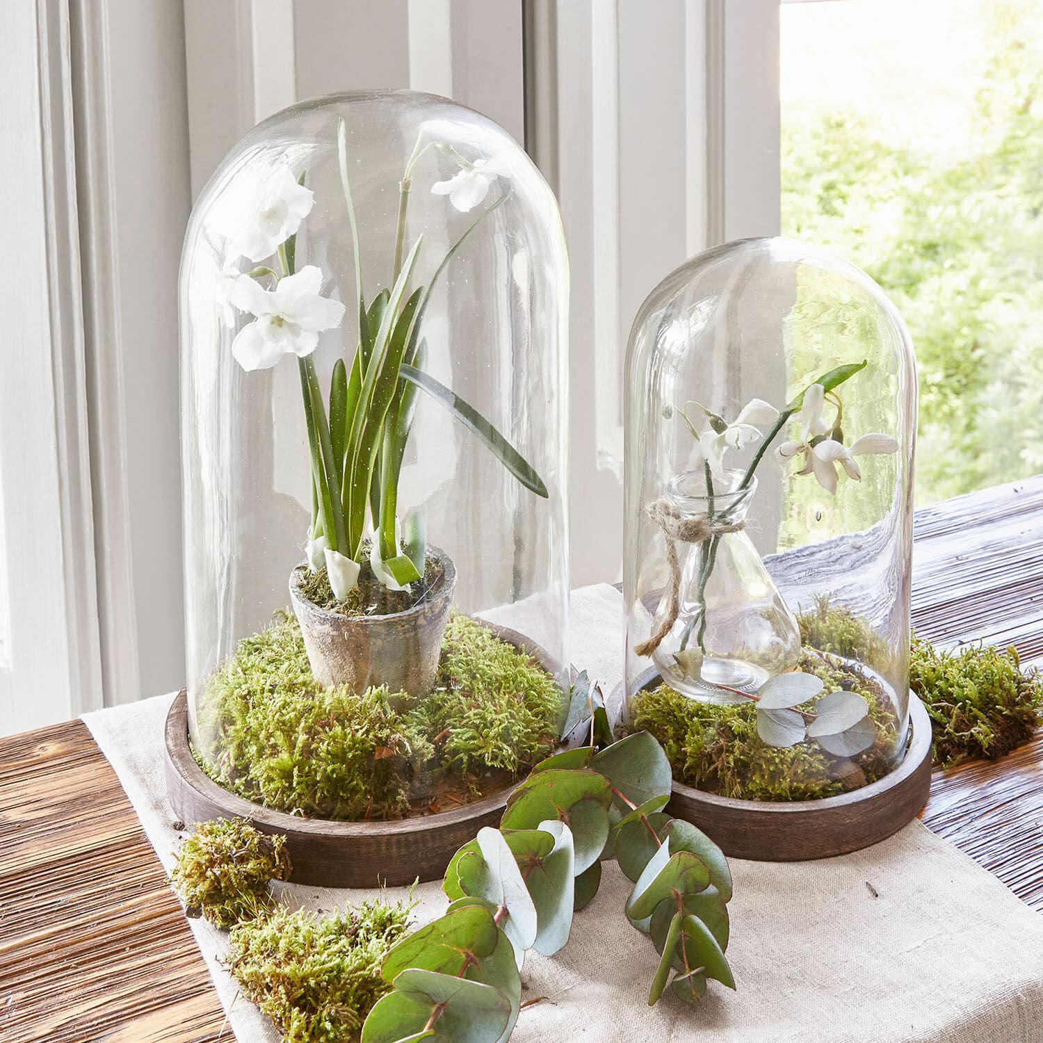 Lot de 2 cloches en verre Felicita