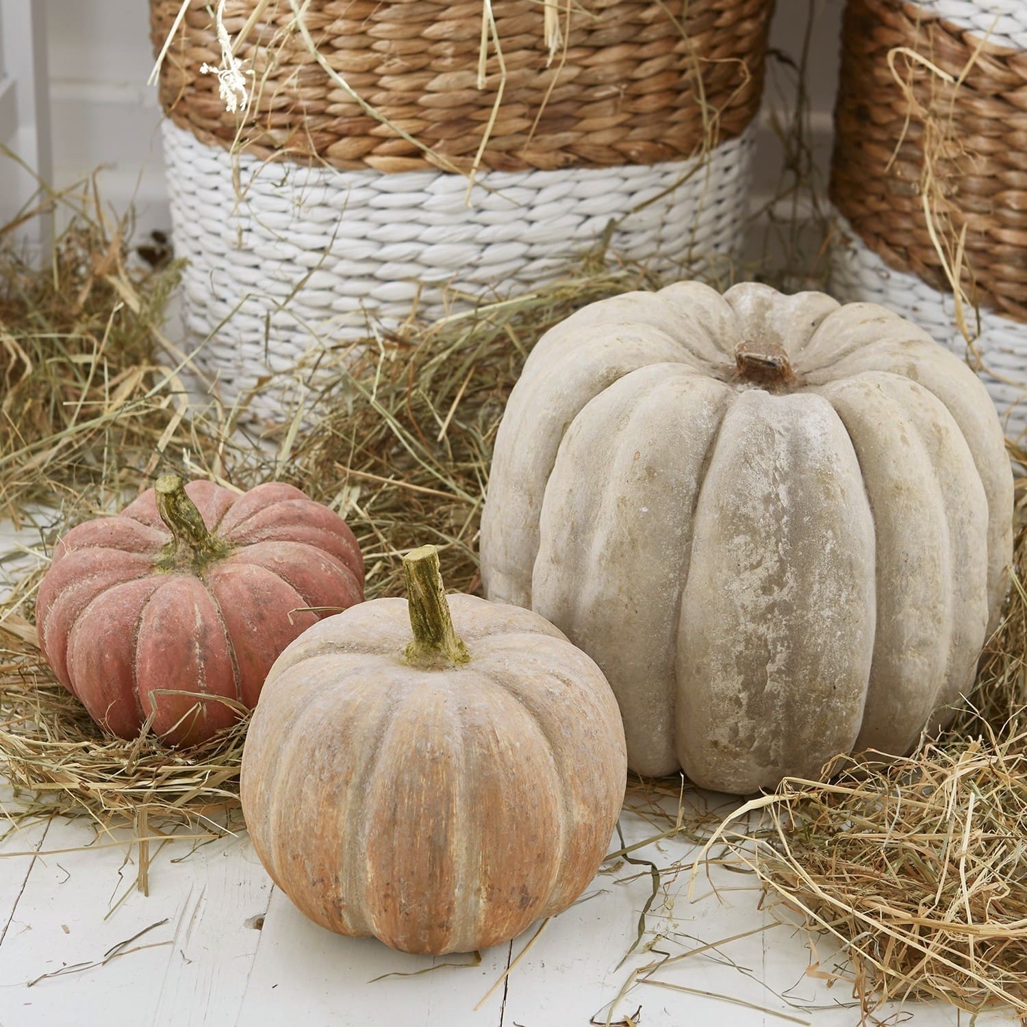 Lot de 3 citrouilles Pumpkin