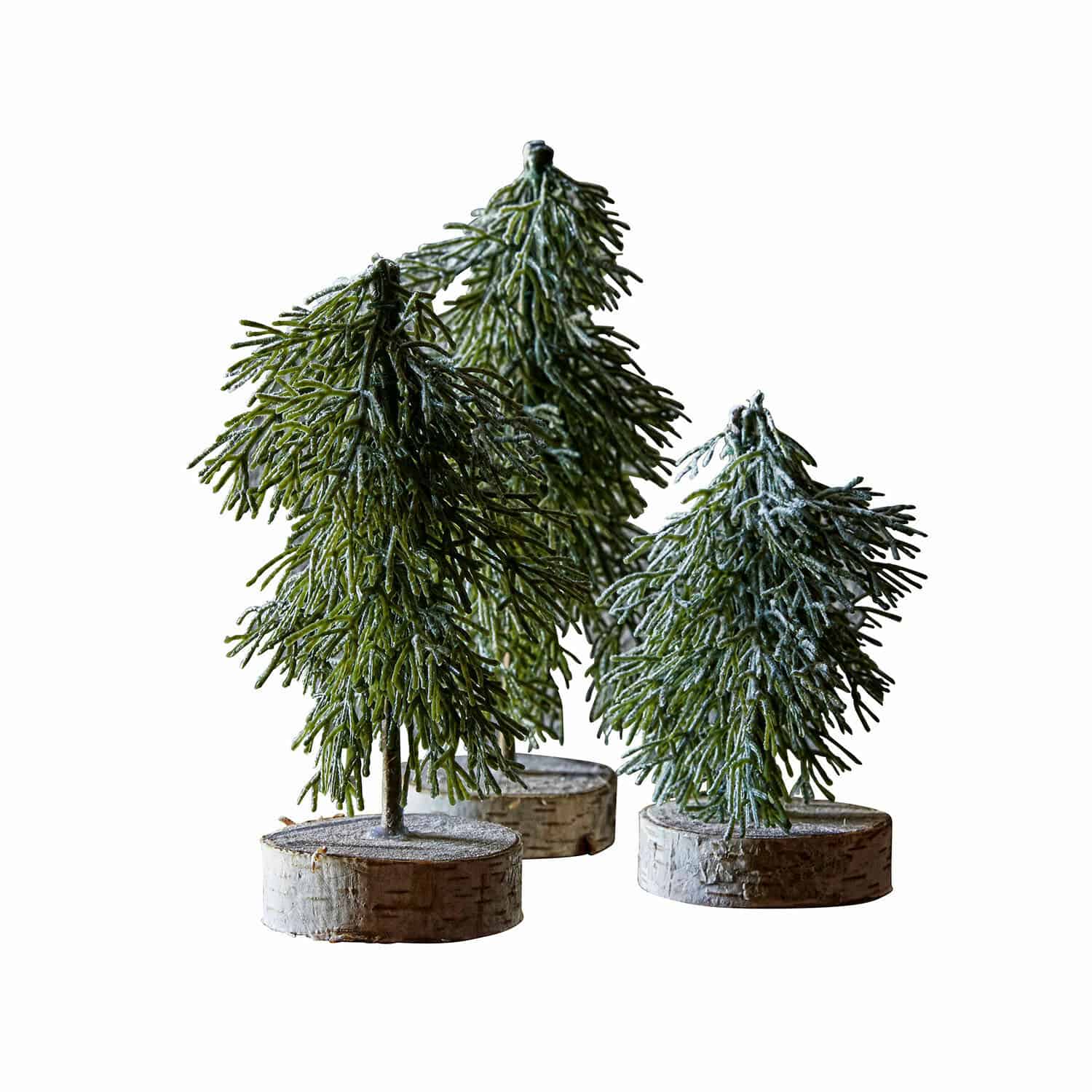 Lot de 3 arbres Lonzac