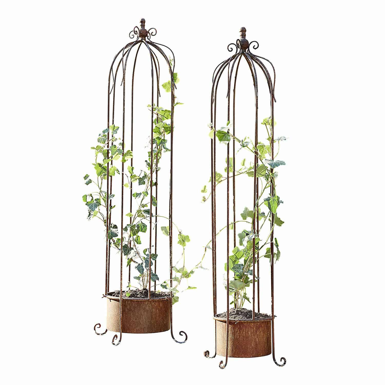 Lot de 2 supports pour plantes grimpantes Sixorev