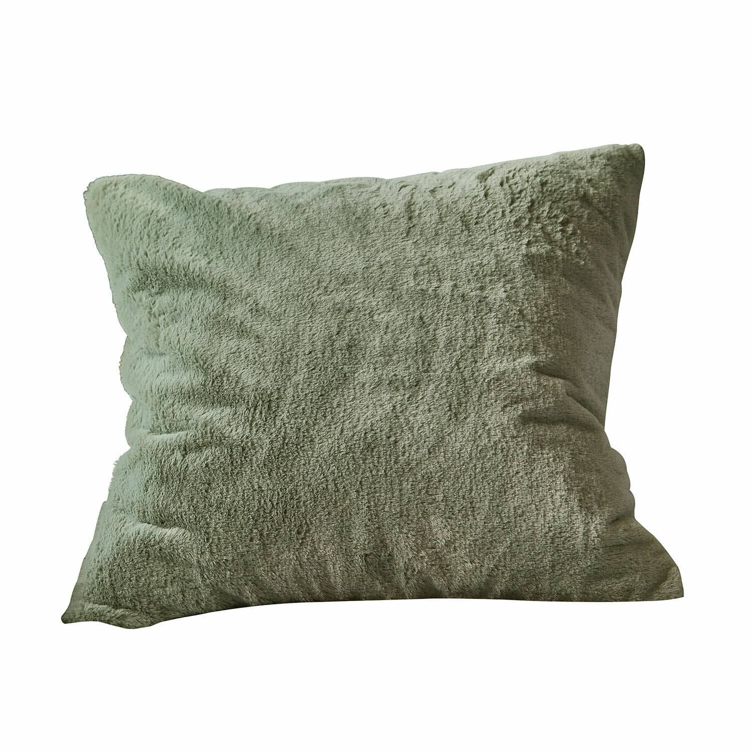 Housse de coussin Léorienne