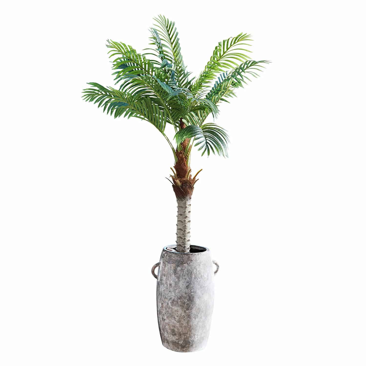 Plante décorative en pot Zephyriel