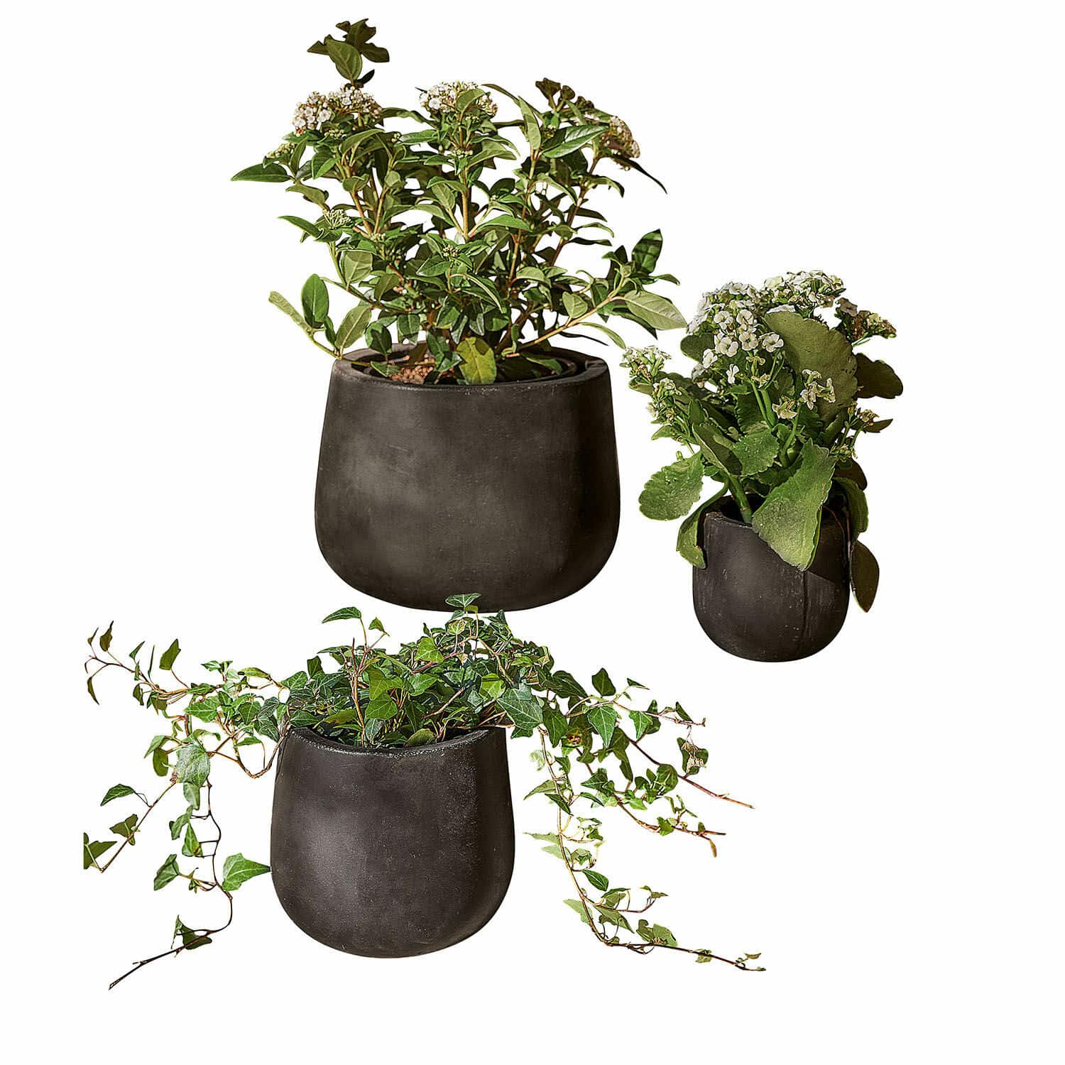 Lot de 3 cache-pots Sunvale