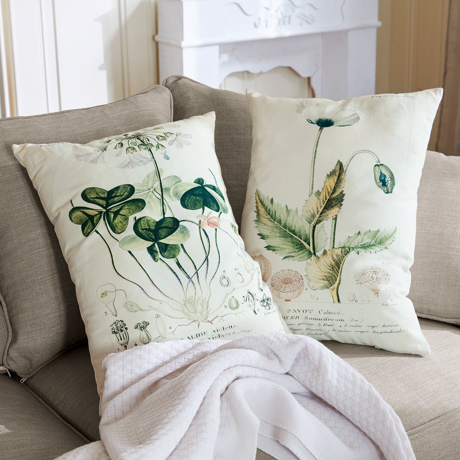 Lot de 2 coussins Botanical