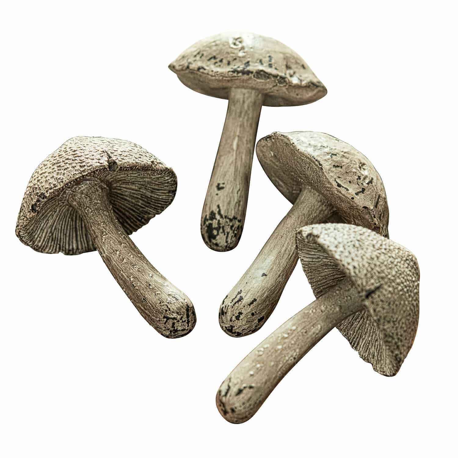 Lot de 4 champignons Laval