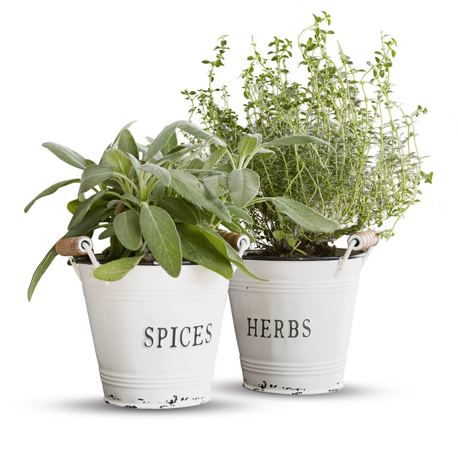 Lot de 2 cache-pots Trevis