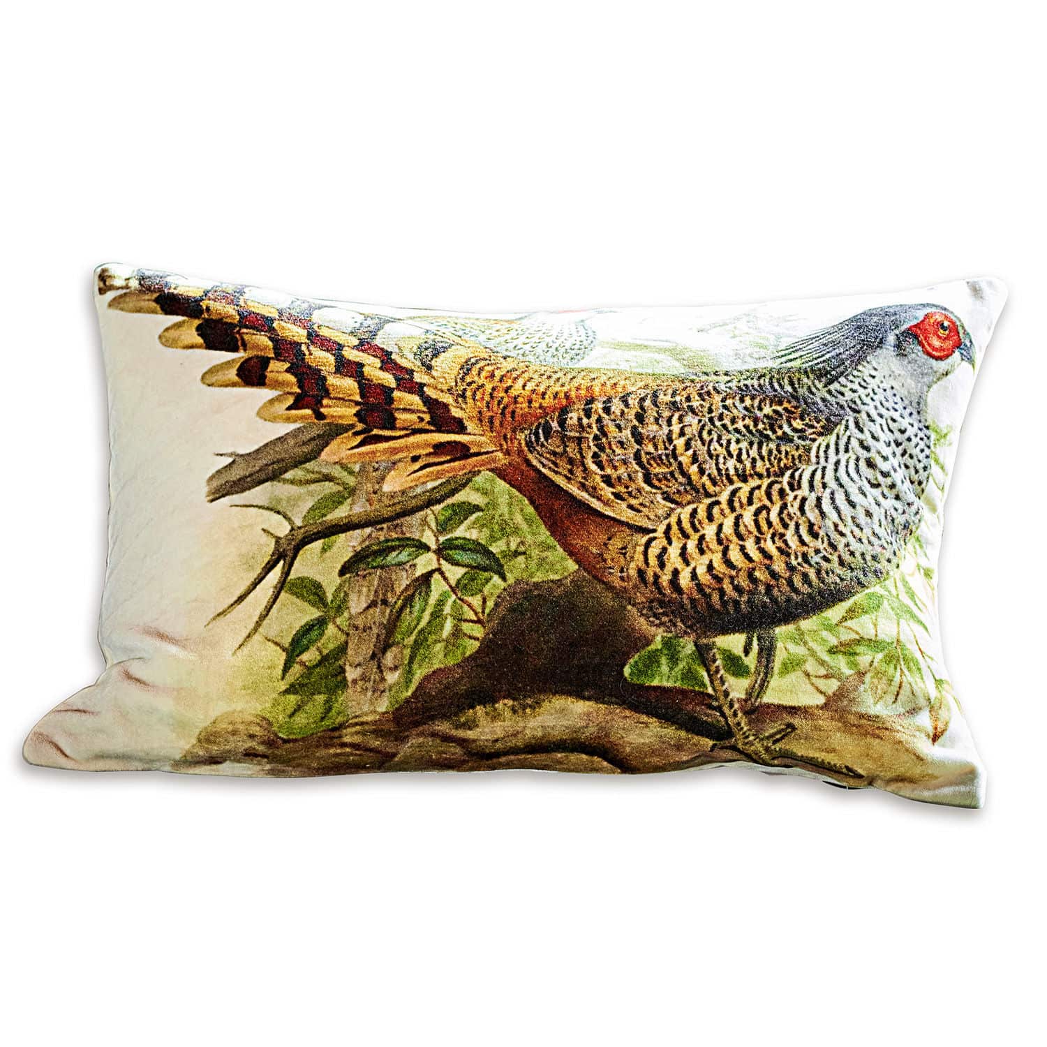 Housse de coussin Limia