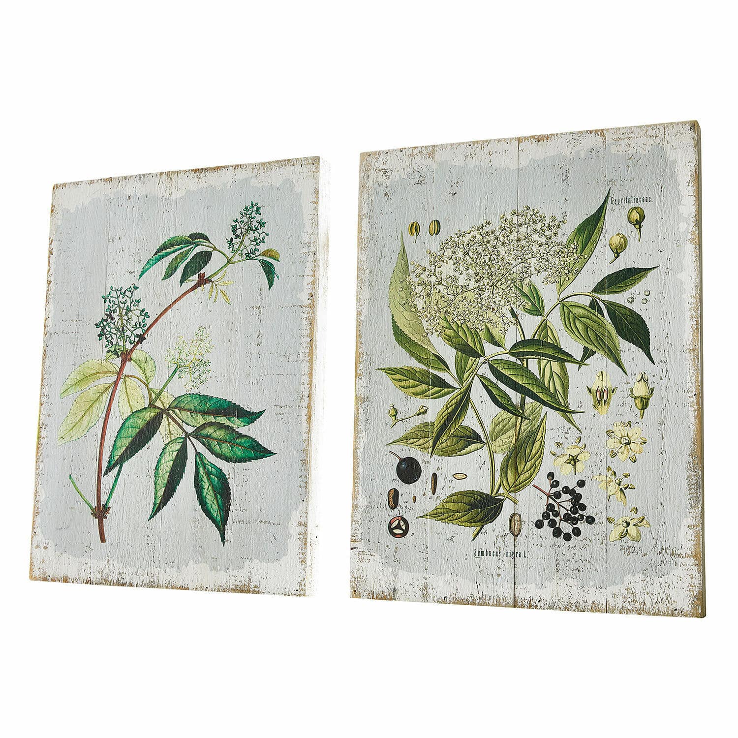 Lot de 2 tableaux décoratifs Loanne