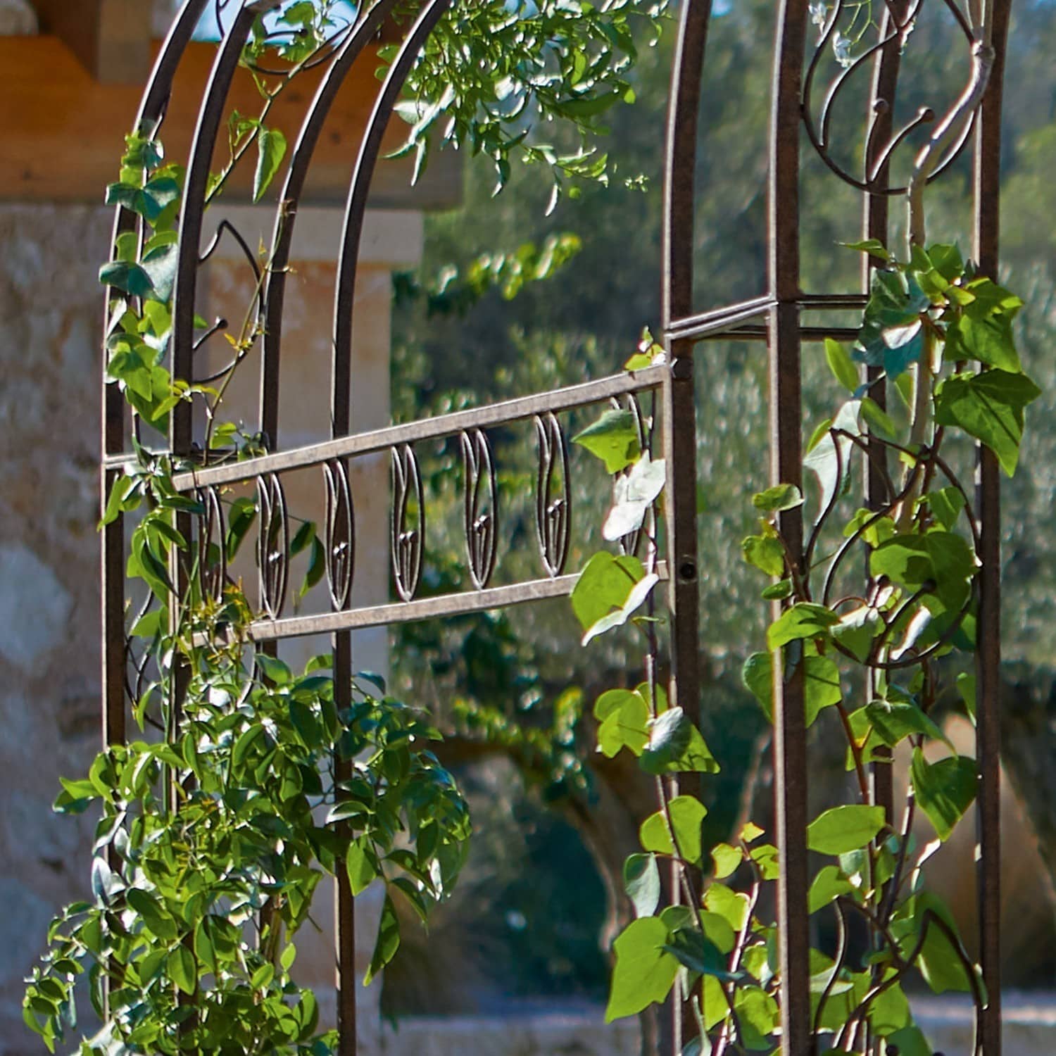 Pergola Romaine