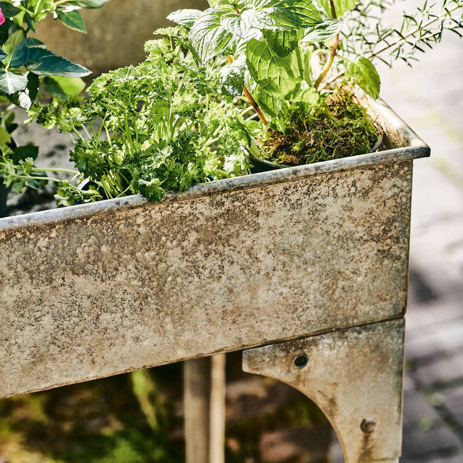 Potager surélevé Tevin