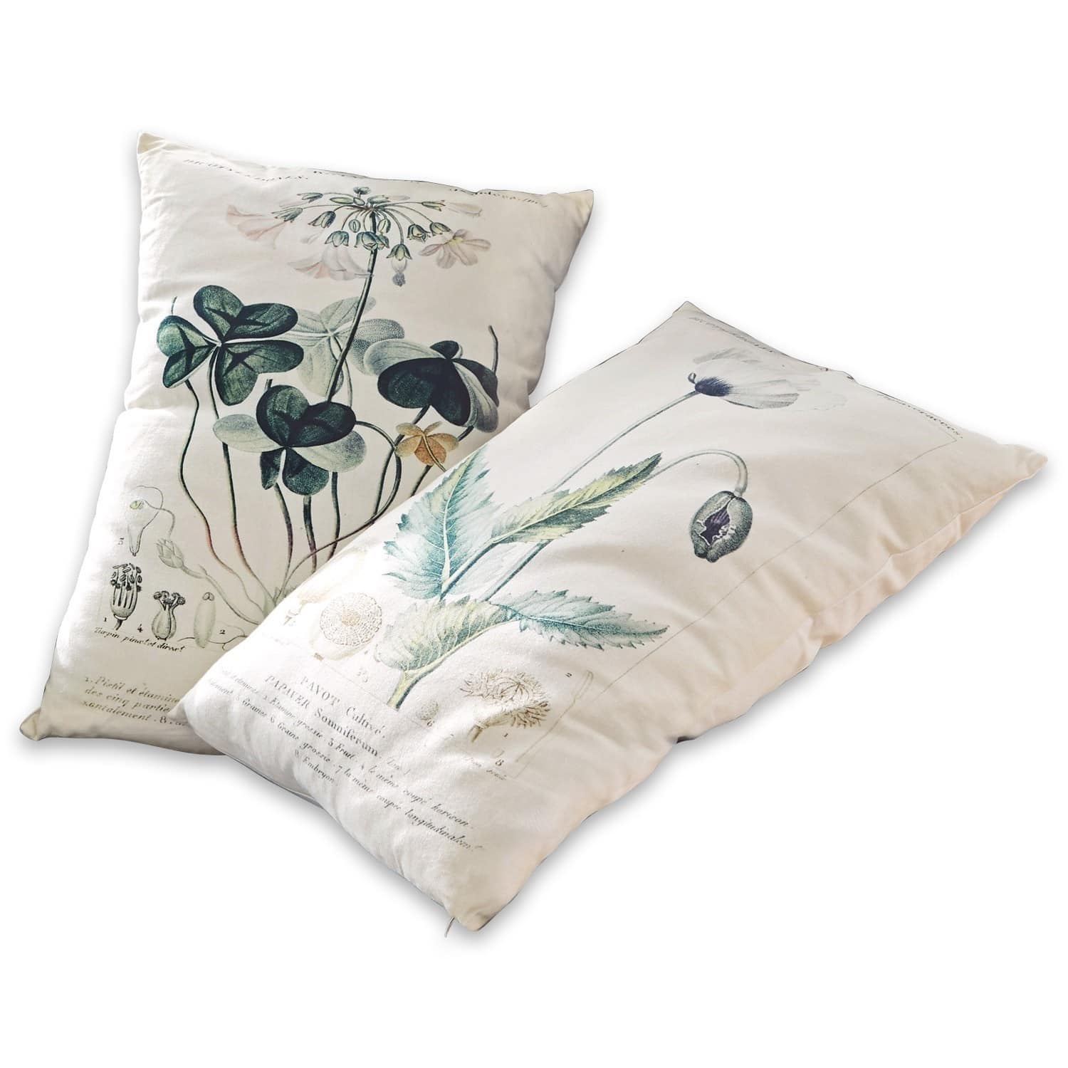 Lot de 2 coussins Botanical