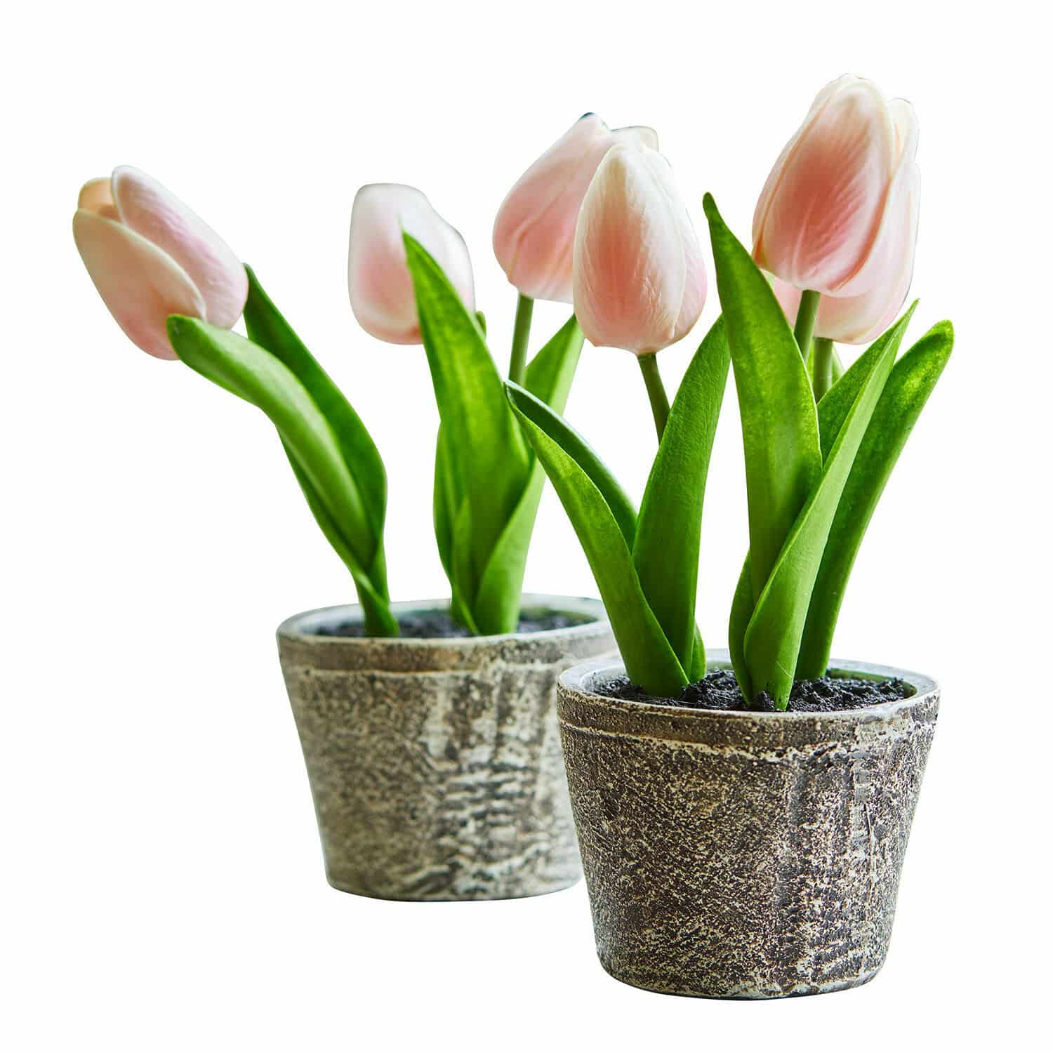 Lot de deux pots de tulipes décoratives Zéphine