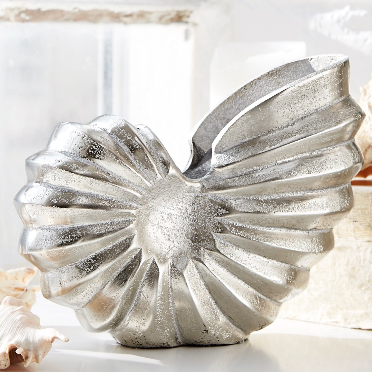 Ammonite décorative Whirl