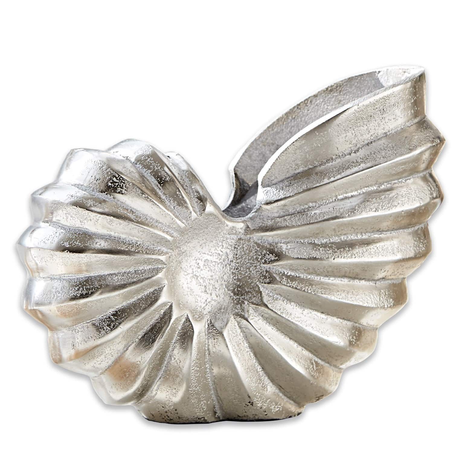 Ammonite décorative Whirl