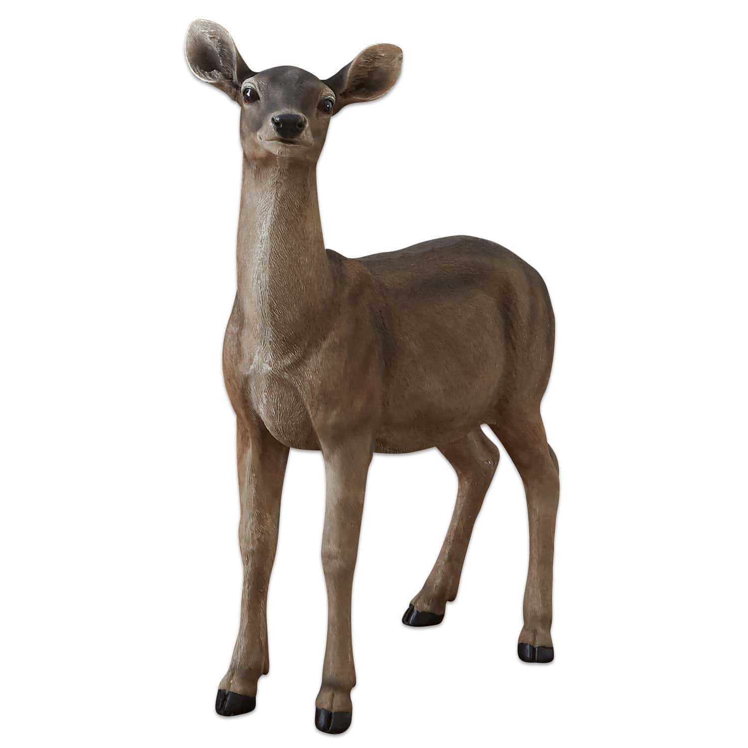 Biche Ruud