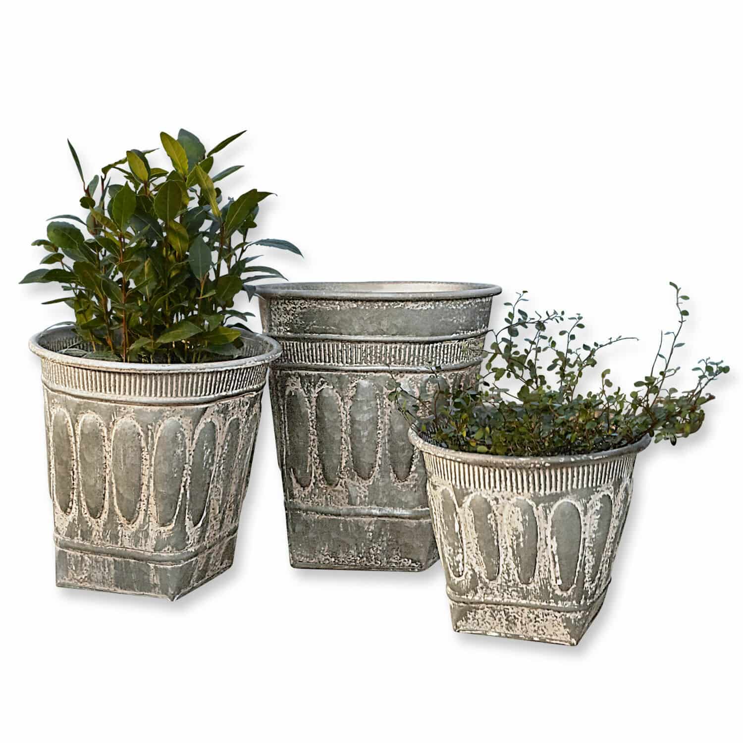 Lot de 3 cache-pots Bakersfield