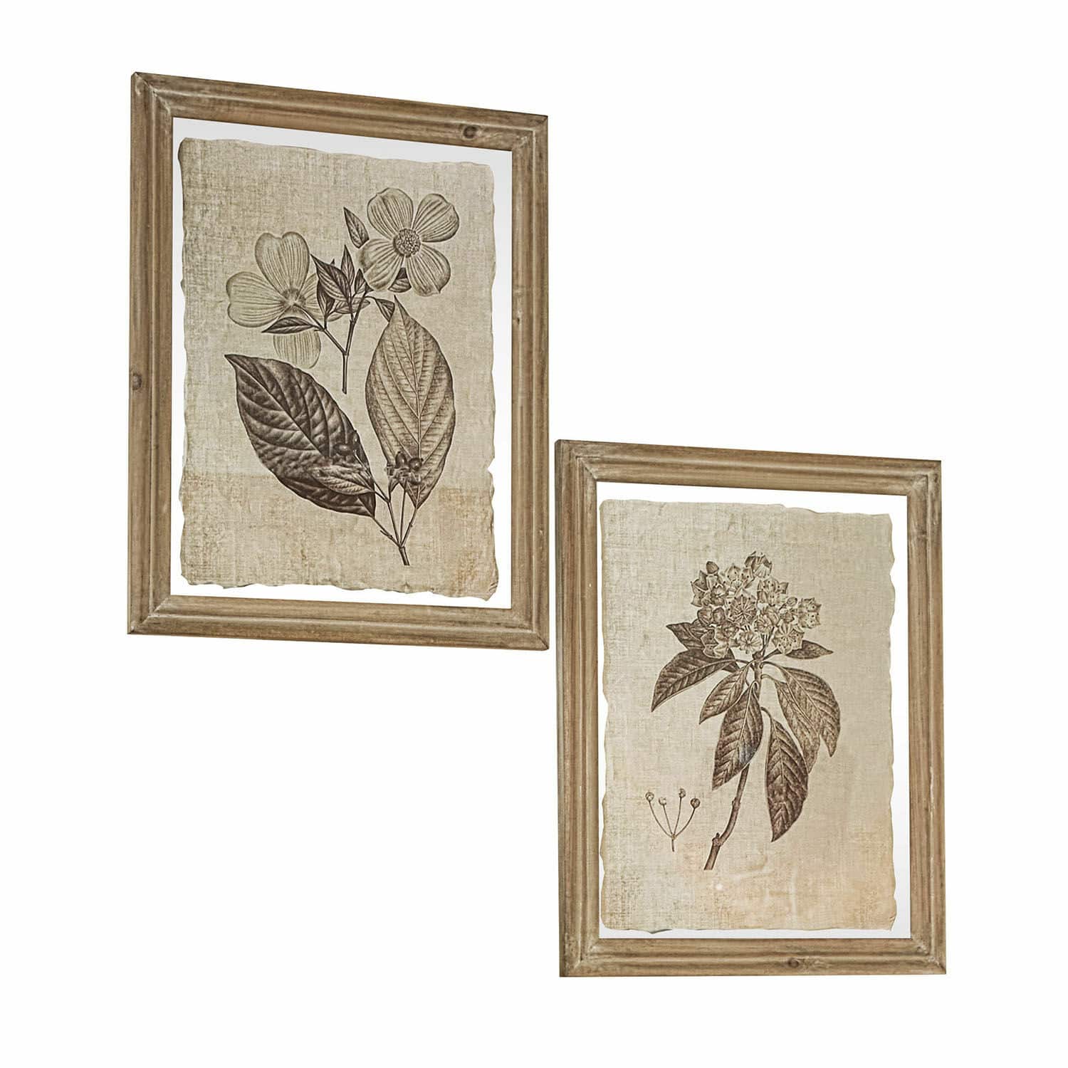 Lot de 2 tableaux Guyra