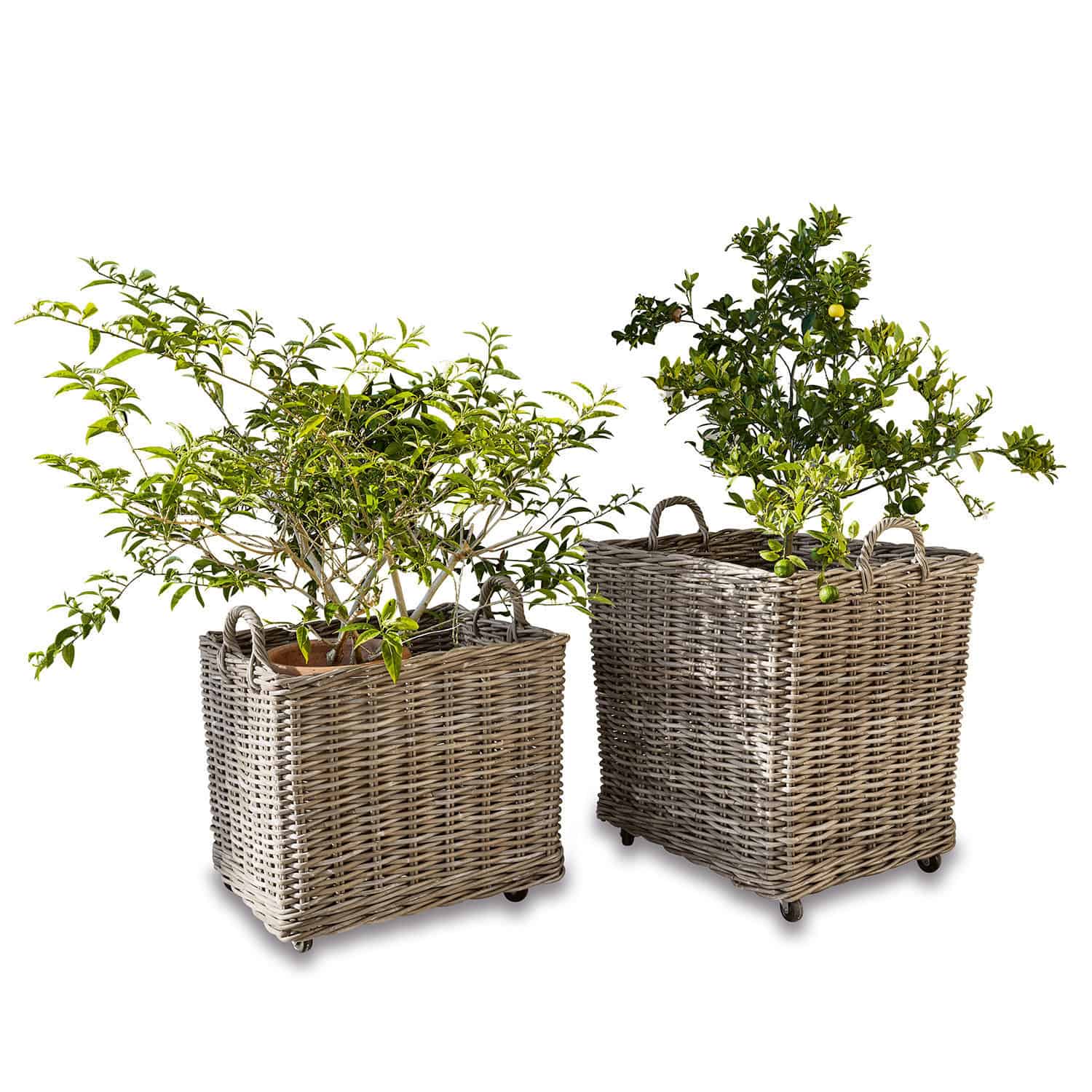 Lot de 2 paniers à plantes Gialousa