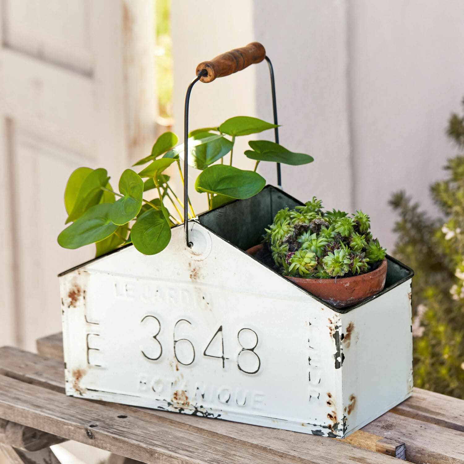 Panier Botanique