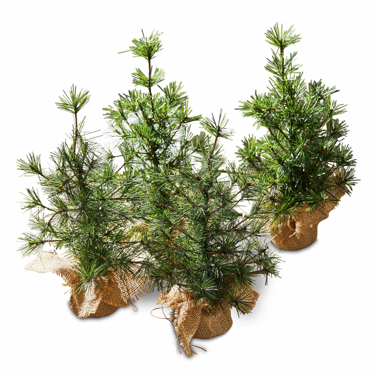 Lot de 4 sapins décoratifs Millies