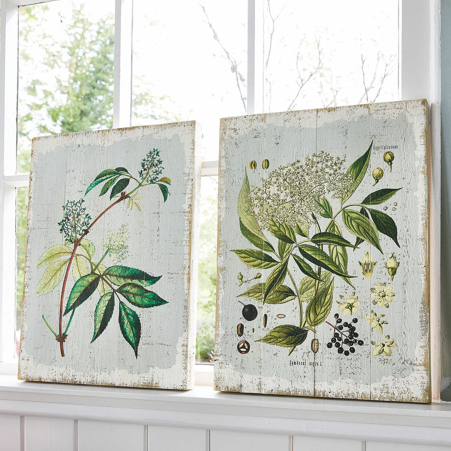 Lot de 2 tableaux décoratifs Loanne