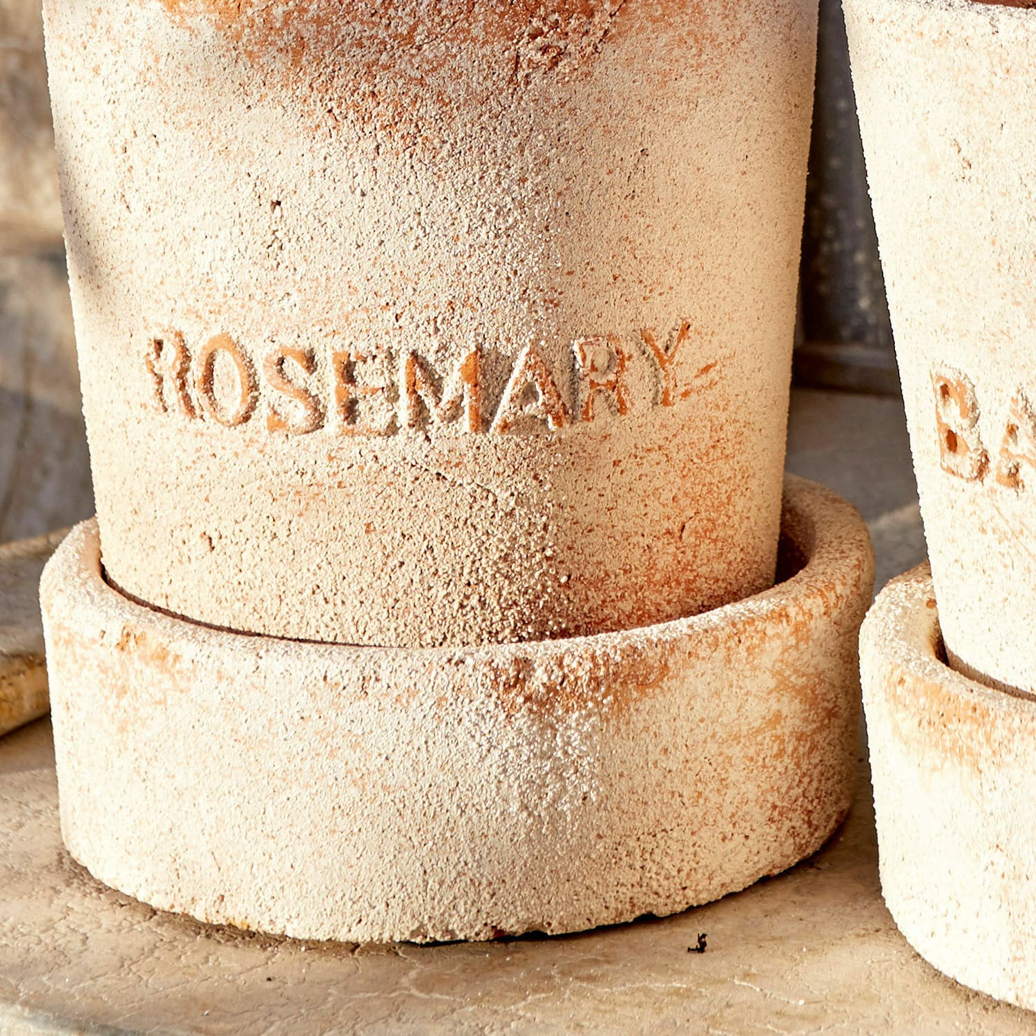 Lot de 2 cache-pots Basil & Rosemary