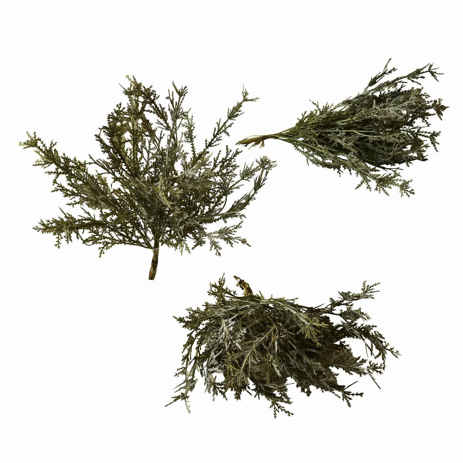 Lot de 3 plantes décoratives Emmet