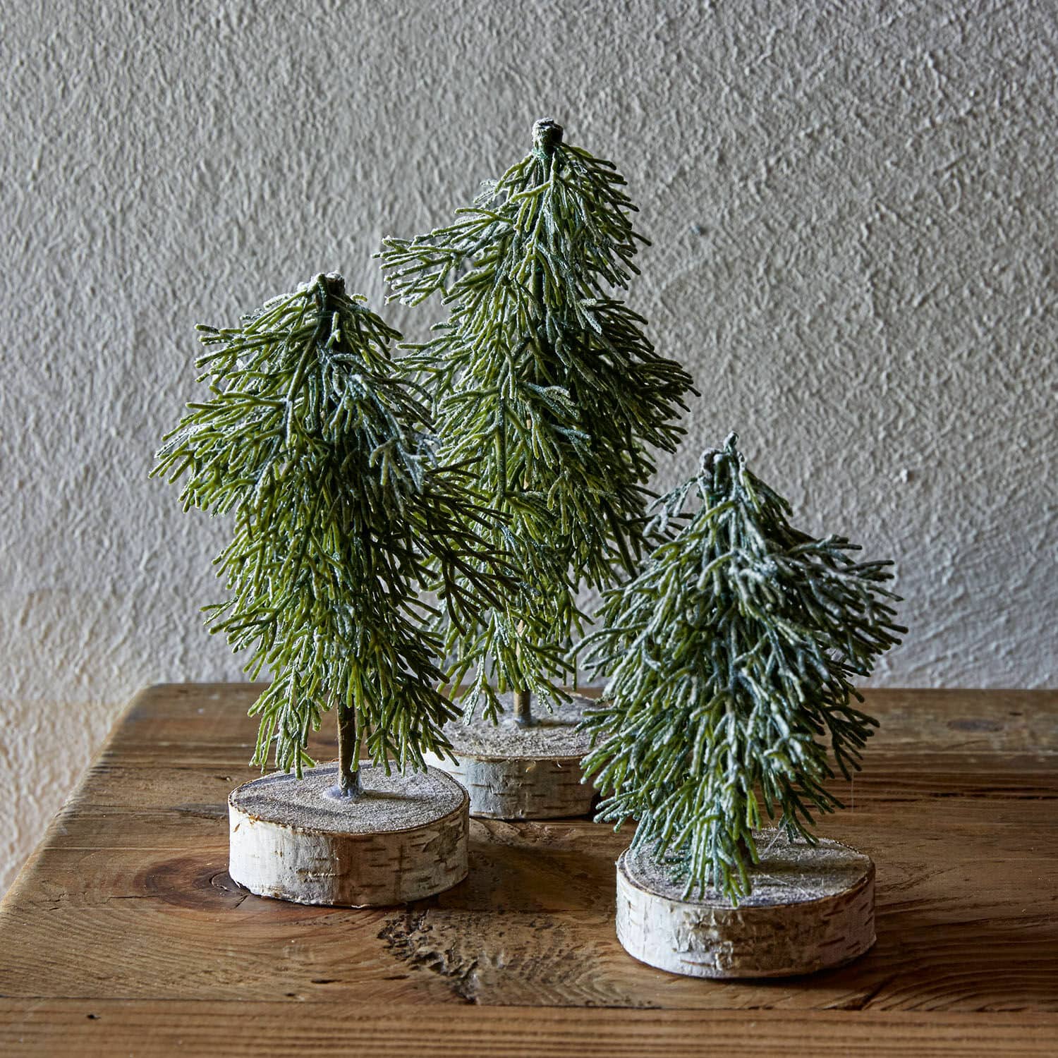 Lot de 3 arbres Lonzac