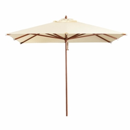 Parasol Barnet champagne