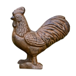 Coq Tillroy marron