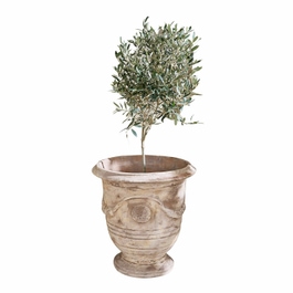 Cache-pot Garwood beige vieilli